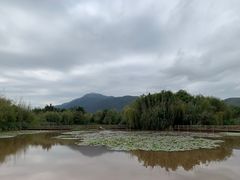 -西昌邛海湿地