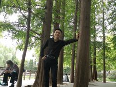 -八大关景区