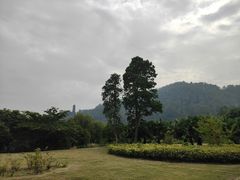 -南沙蒲洲花园