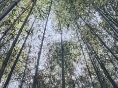 -洛阳白云山景区