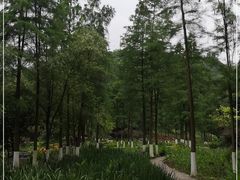 -重庆彩云湖湿地公园