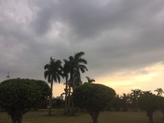 万绿园-万绿园