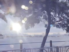 -青岛海滨风景区