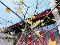 -堤角公园