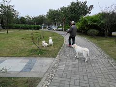 -飞来湖湿地公园