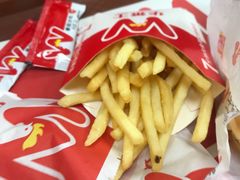 -华莱士·全鸡汉堡(海口政法学院店)