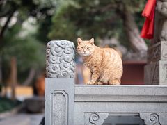 -龙华寺