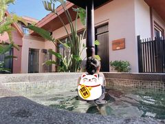 -广州都喜泰丽温泉度假酒店