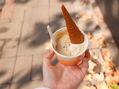 -Dip in Gelato(富民路店)