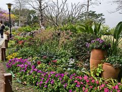 -东莞植物园