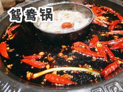 鸳鸯锅-重庆渝达老火锅(春熙路店)