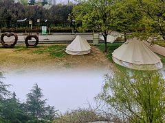 -洛阳市隋唐城遗址植物园
