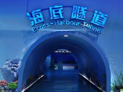 -泉城欧乐堡海洋极地世界