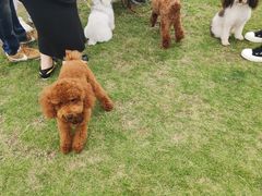 -栖露营camping·天幕烧烤·团建拓展·采摘营地