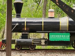 -合肥滨湖国家森林公园