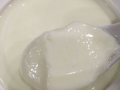 -正德顺順德雙皮奶(中信店)