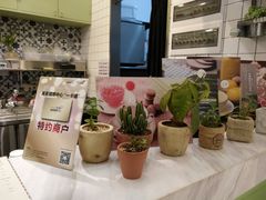 -恋暖初茶(万菱汇店)