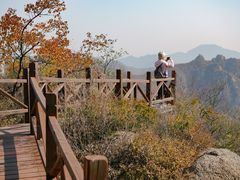 -大岭沟猕猴桃谷风景区