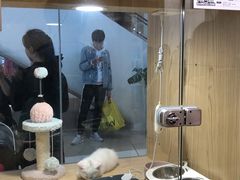-屋虎猫馆(宝安大仟里店)