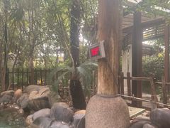 -张家港金凤凰度假村温泉
