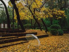 -迎泽公园