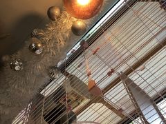 -灯塔咖啡馆BOOK·Coffee Shop