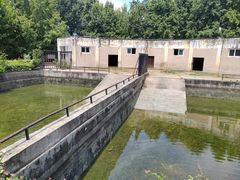 -合肥野生动物园