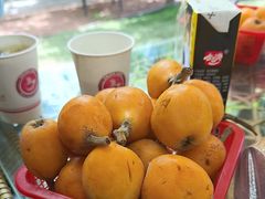 -桃源山庄·水蜜桃采摘·柴火鸡·烧烤团建(龙泉山店)
