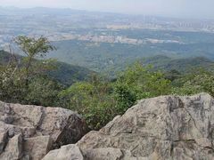 -紫金山山顶公园