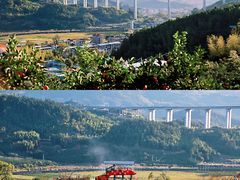 -瓷天下海丝谷