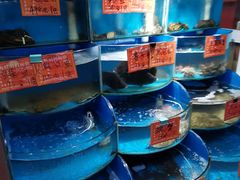 水产区-北戴河庆山饭店·海鲜砂锅粥(北戴河黑石路店)