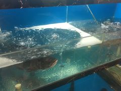 -天赋鱼馆(竹乡特色街店)