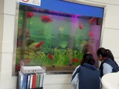 -雅悦齿科(顾村公园店)