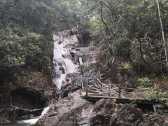 -九龙江国家森林公园