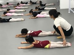 -西安小天鹅艺术团(金花路校区)