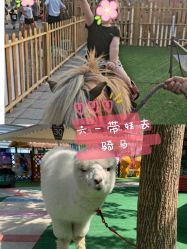 -萌宠亲子动物乐园(槐房万达店)