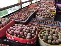 -星巴克(杭州临平万达广场店)