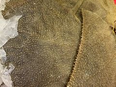 金牌毛肚-沸炉重庆老火锅(军事博物馆店)