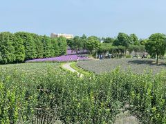 -季高兔窝窝亲子园(上海薰衣草公园店)