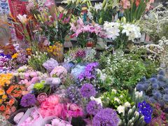 -花鸟鱼虫鲜花绿植市场(玉泉路店)