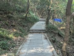 -杭州黄龙洞