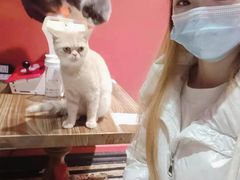 -猫色咖啡·猫咖