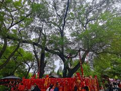 -大槐树寻根祭祖园