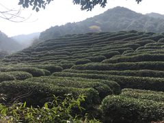 -午潮山国家森林公园