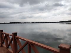 -丁香湖公园