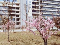 -江南大学(蠡湖校区)
