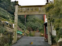 -十八棵（老龙井）御茶园(老龙井店)
