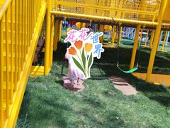 -合肥滨湖国家森林公园