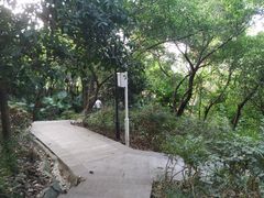 -龙泉洞(沙坪坝区)