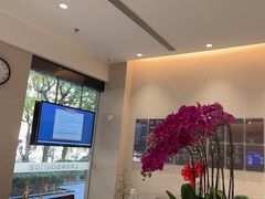 -TSK齿科德申会口腔门诊·联洋诊所